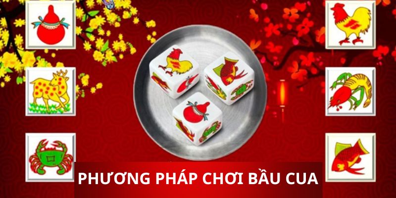 Khám phá các phương pháp chơi bầu cua dễ thắng