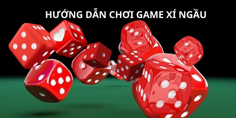 Cách đặt cược xí ngầu chi tiết và dễ hiểu