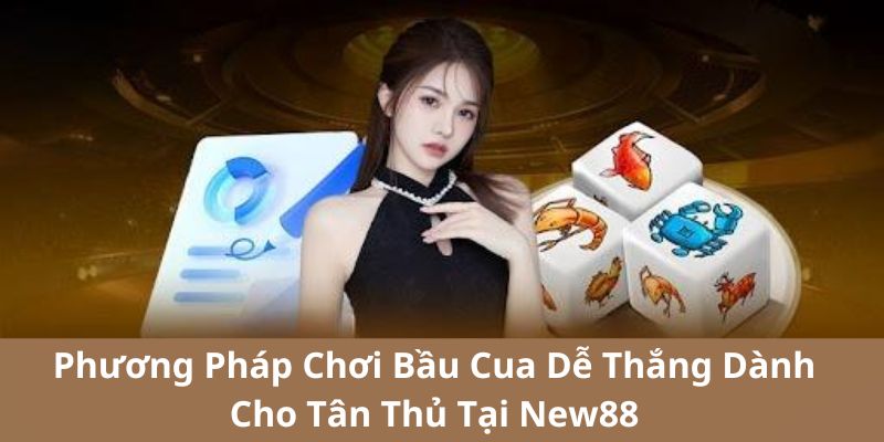 Phương Pháp Chơi Bầu Cua Dễ Thắng Dành Cho Tân Thủ Tại New88