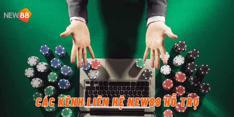 Các kênh liên hệ New88 hỗ trợ