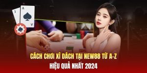 Cách Chơi Xì Dách Tại New88 Từ A-Z Hiệu Quả Nhất 2024