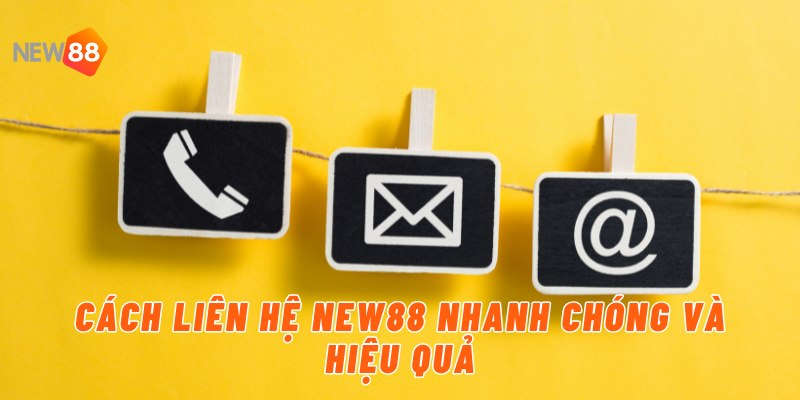 Hướng dẫn cách liên hệ New88