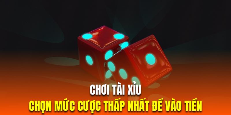 Khi chơi tài xỉu hội viên cần chọn cho mình mức cược hợp lý