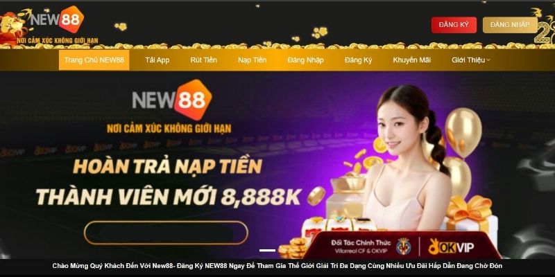 Tại sao cần tìm hiểu đăng nhập New88?