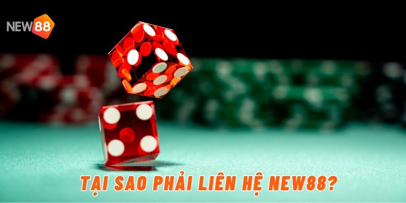 Tại sao phải liên hệ New88?