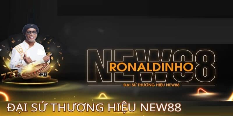 Những hoạt động của đại sử trong thời gian tới