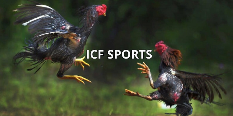 ICF Sports